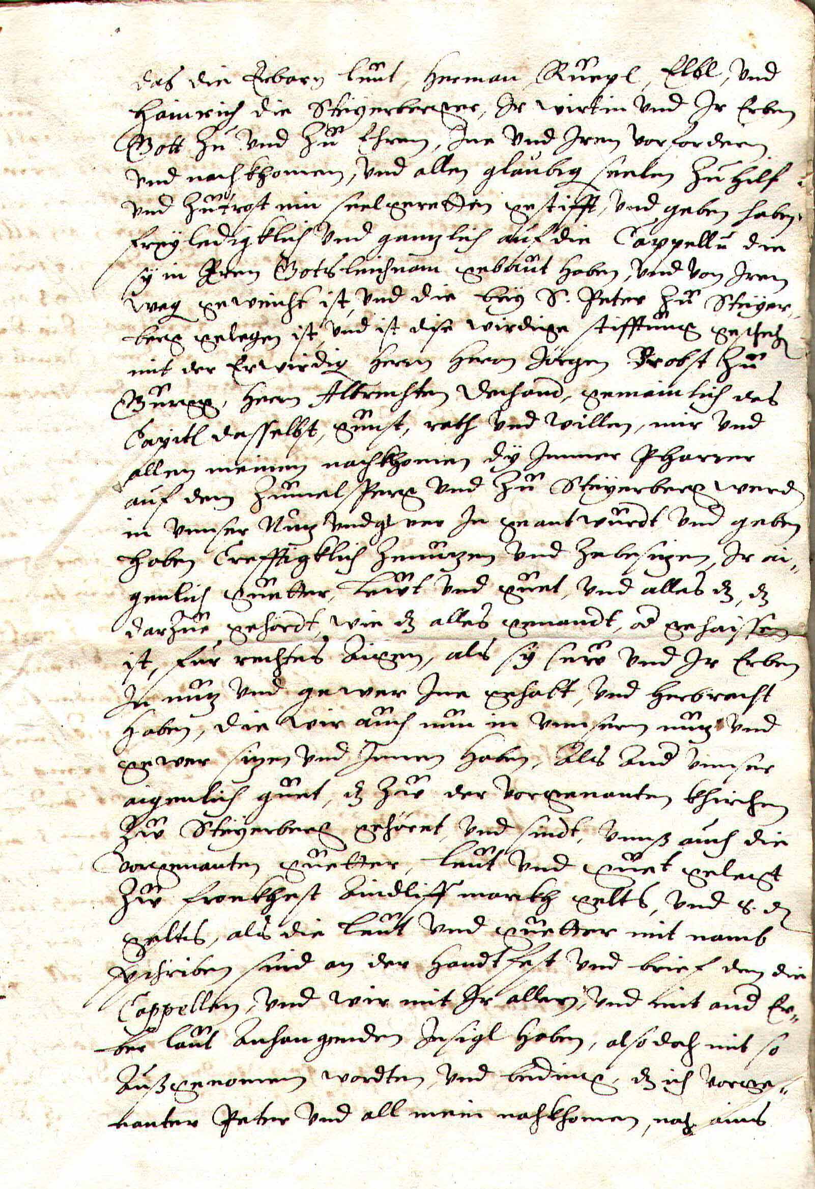 Steuerberg 7A_C5.jpg